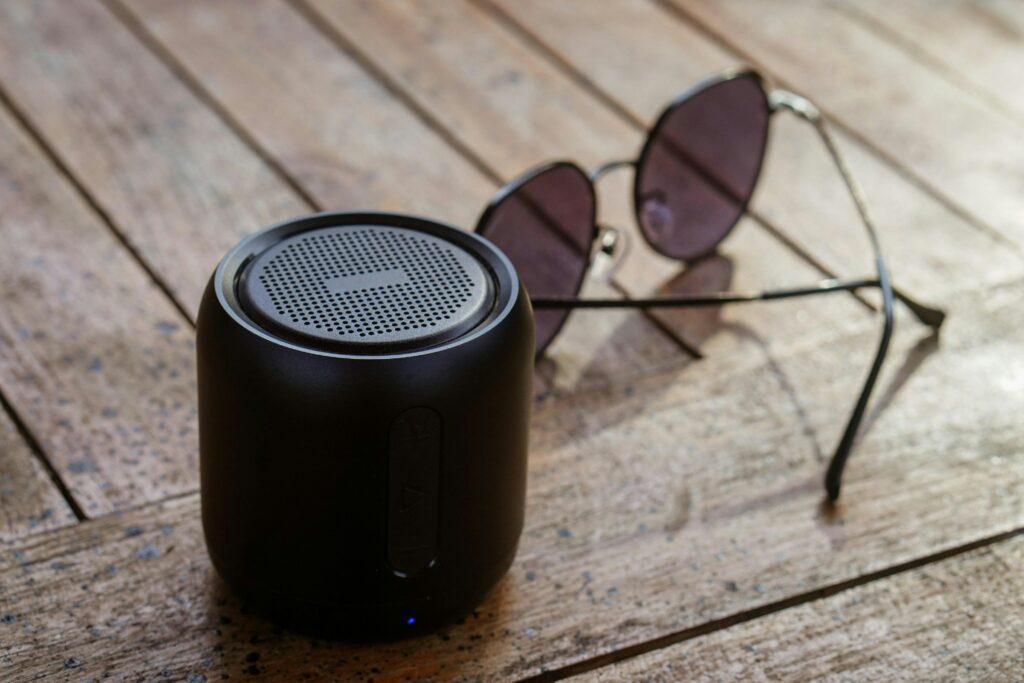 Boîtier électronique enceinte audio extérieure