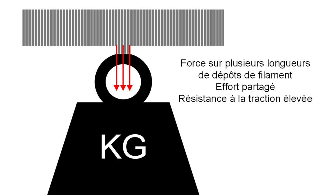 L'effort de traction est partagé avec les lignes d'impression dans ce sens, le poids pouvant être soutenu par la pièce est plus élevé